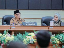 Mirza Minta Daerah Siaga Hadapi El Nino Godzilla