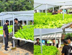 SPPI Tumijajar Kawal Petani Lokal Tingkatkan Produksi untuk MBG