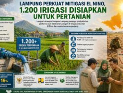 Lampung Perkuat Mitigasi El Nino, 1.200 Irigasi Disiapkan untuk Pertanian