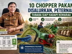 10 Chopper Pakan Disalurkan, Peternak Tubaba Siap Hadapi Kemarau