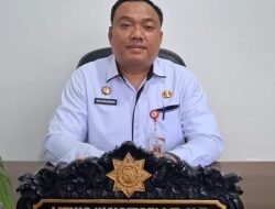 Harga Komoditas Tubaba Stabil, Gabah-Jagung hingga Karet Naik