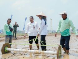 Lampung Perkuat Pertanian Modern, Jihan Bidik Efisiensi dan Pendapatan Petani