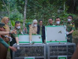 Wagub Jihan Tekankan Integritas dan Ekonomi dalam Pengelolaan Hutan