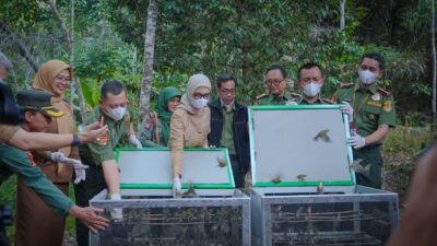 Wagub Jihan Tekankan Integritas dan Ekonomi dalam Pengelolaan Hutan